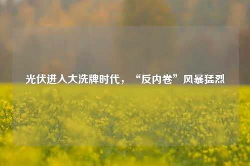 光伏进入大洗牌时代，“反内卷”风暴猛烈