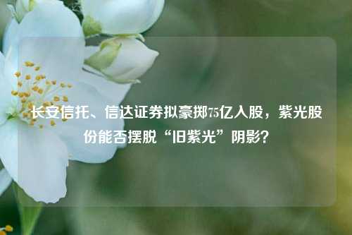 长安信托、信达证券拟豪掷75亿入股，紫光股份能否摆脱“旧紫光”阴影？