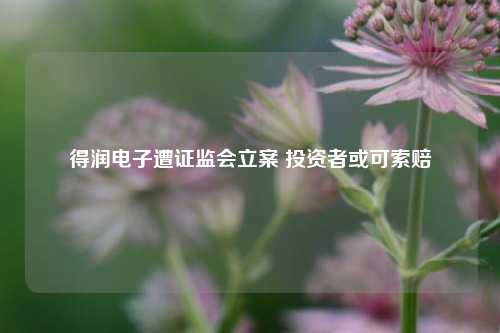 得润电子遭证监会立案 投资者或可索赔