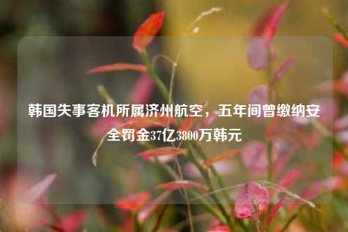 韩国失事客机所属济州航空，五年间曾缴纳安全罚金37亿3800万韩元