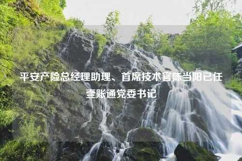 平安产险总经理助理、首席技术官陈当阳已任壹账通党委书记