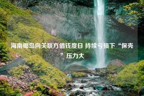 海南椰岛向关联方借钱度日 持续亏损下“保壳”压力大