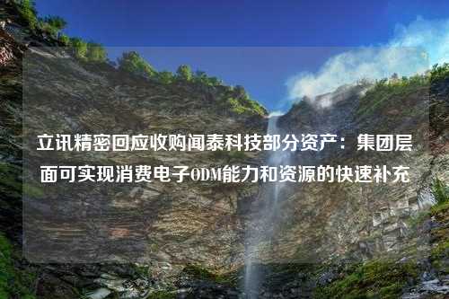 立讯精密回应收购闻泰科技部分资产：集团层面可实现消费电子ODM能力和资源的快速补充