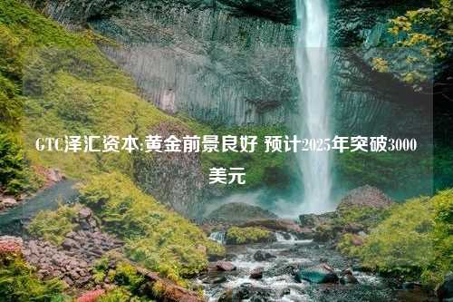 GTC泽汇资本:黄金前景良好 预计2025年突破3000美元