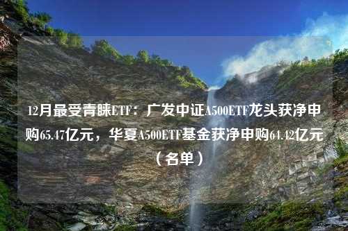 12月最受青睐ETF：广发中证A500ETF龙头获净申购65.47亿元，华夏A500ETF基金获净申购64.42亿元（名单）