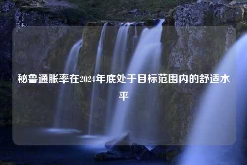 秘鲁通胀率在2024年底处于目标范围内的舒适水平