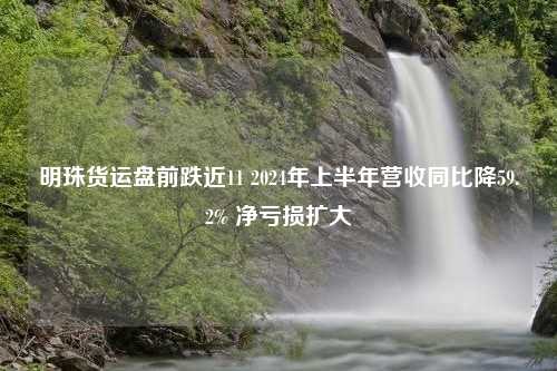 明珠货运盘前跌近11 2024年上半年营收同比降59.2% 净亏损扩大