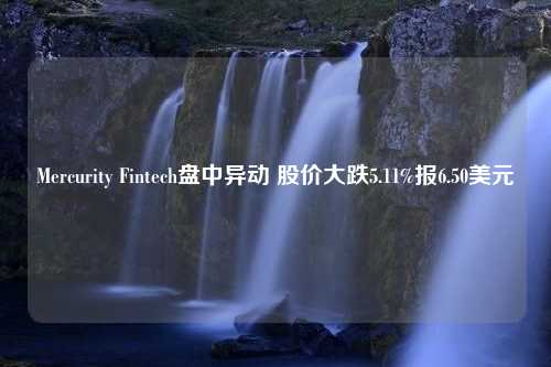 Mercurity Fintech盘中异动 股价大跌5.11%报6.50美元